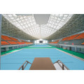 Large Span Construction Prefab Swimming Pool Space Frame Roof